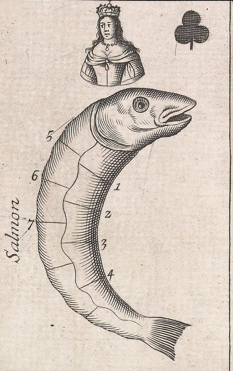Playing card. A queen of clubs is illustrated with a fish labelled “Salmon”. Seven sections are identified, presumably for filleting.