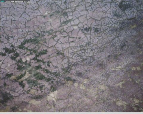 Painting. A layer of lavender-purple paint is cracked to reveal a forest-green layer beneath.